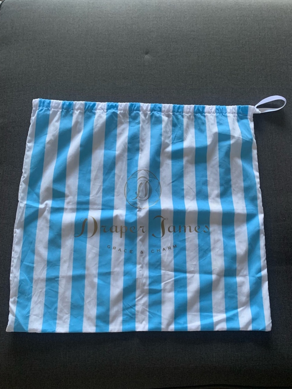 Draper James Grace and Charm Blue White Lines Dust-bag 19” X 21” NWOT